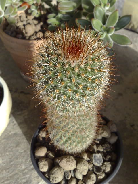 07102008267.jpg