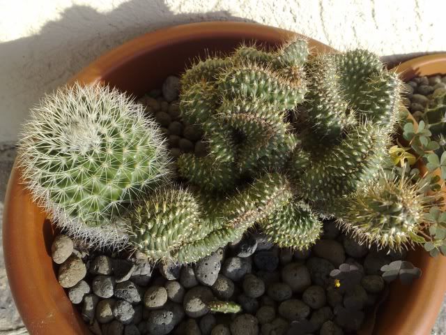 07102008269.jpg