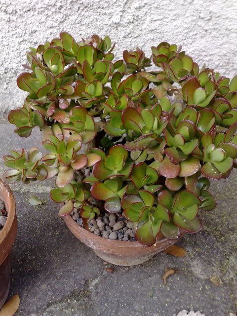 07102008270.jpg