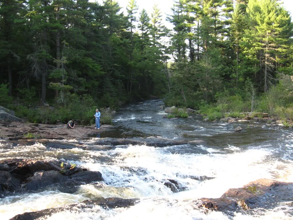 Baitstations080.jpg?t=1277690417