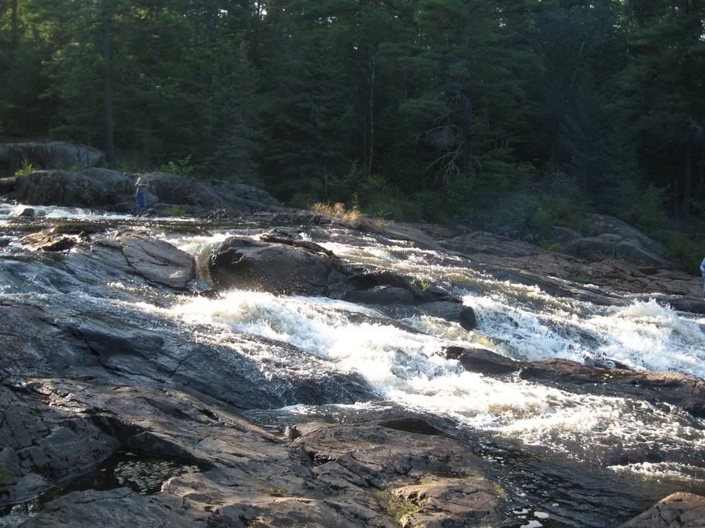 Baitstations081.jpg?t=1277690417