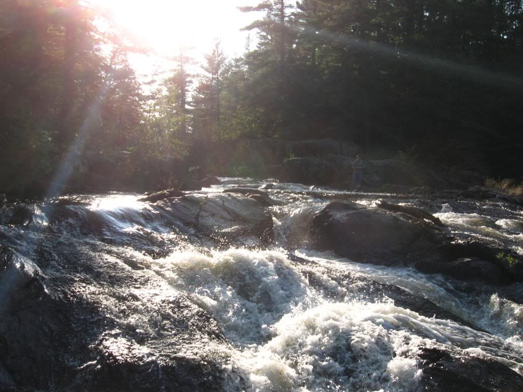 Baitstations082-1.jpg?t=1277690417