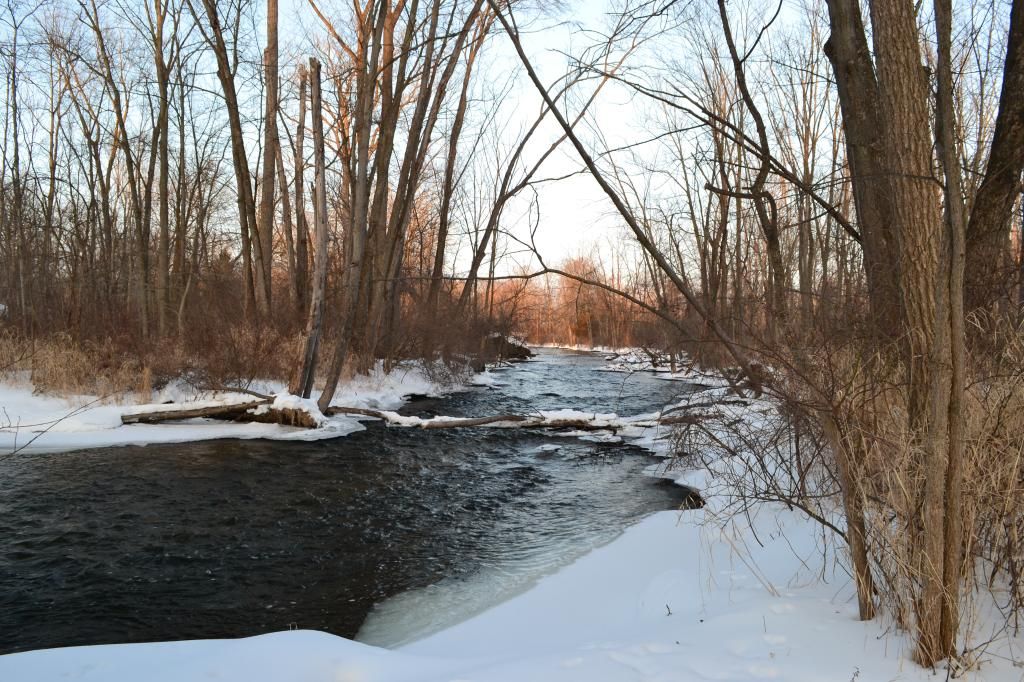 DSC_0046_zpskfxvjpwa.jpg