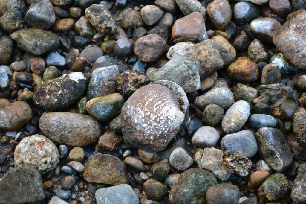 DSC_0057_zpsge52r2xl.jpg
