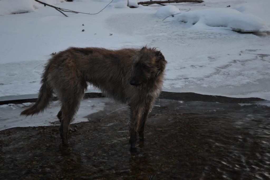 DSC_0073_zpsqvlnjxyt.jpg