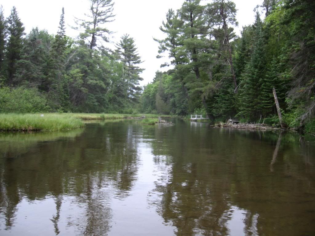 IMG_1075.jpg?t=1277683413