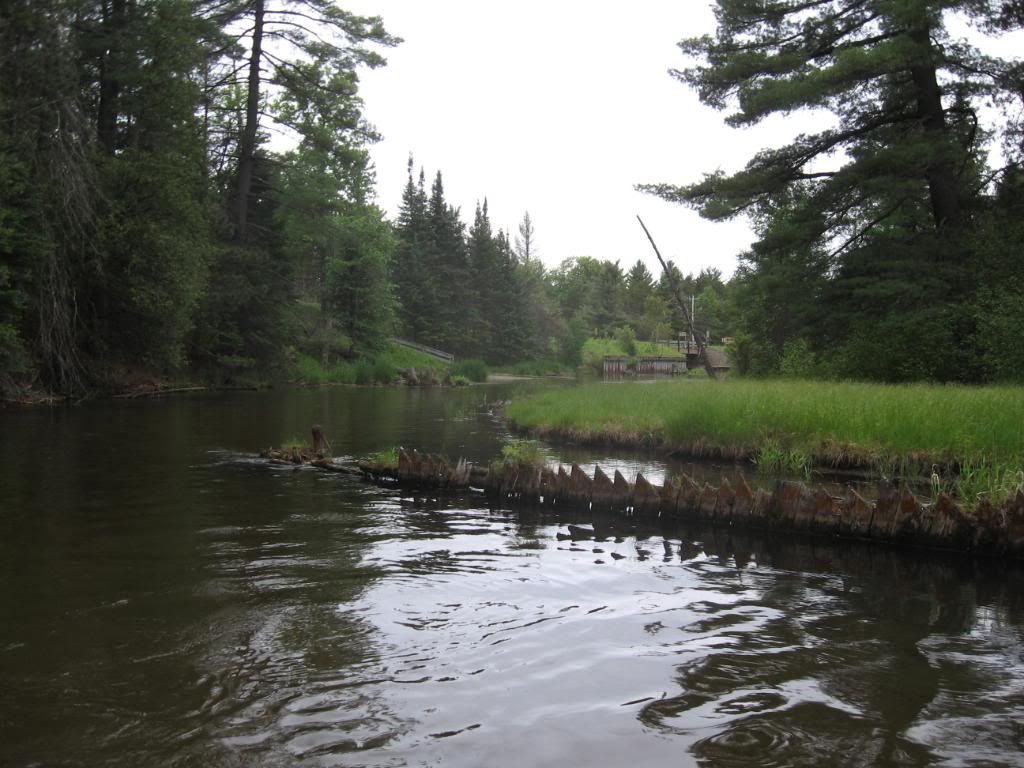 IMG_1076.jpg?t=1277683413