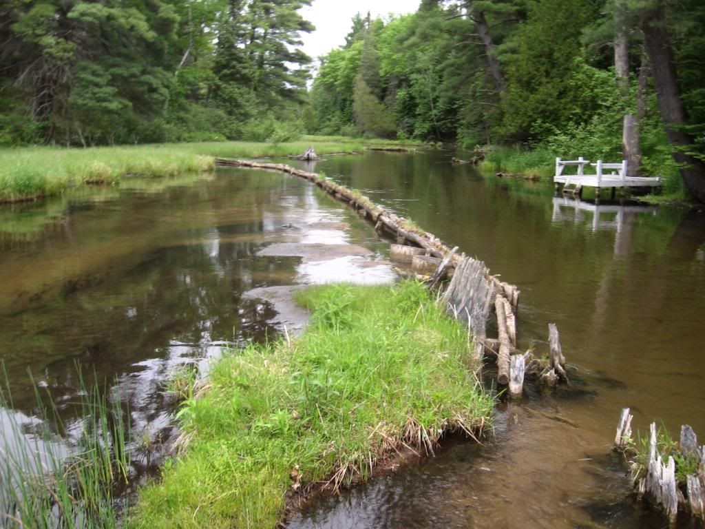 IMG_1079.jpg?t=1277683534