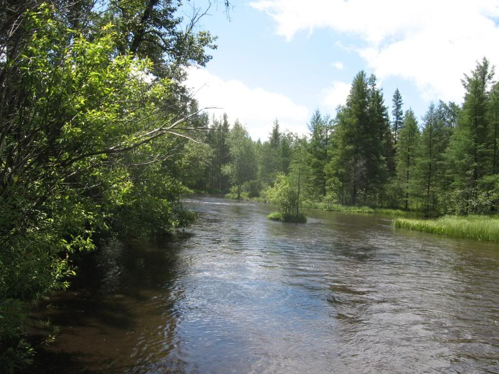 IMG_1081.jpg?t=1277683534