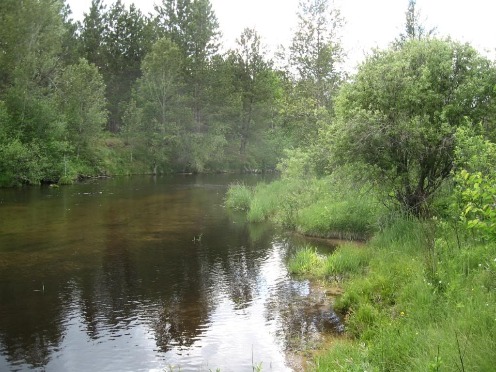 IMG_1094.jpg?t=1277683534