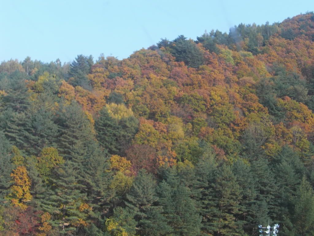 mount sorak2