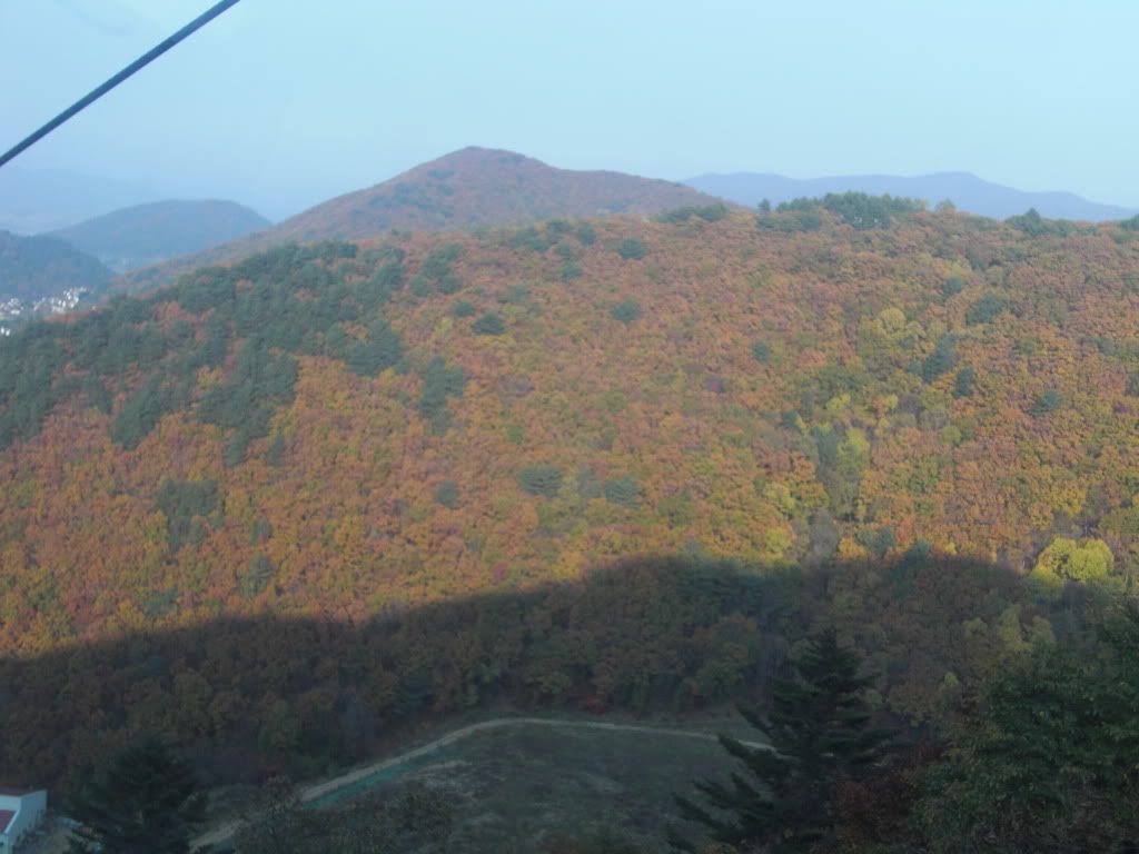 mount sorak