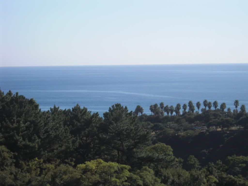 paradise