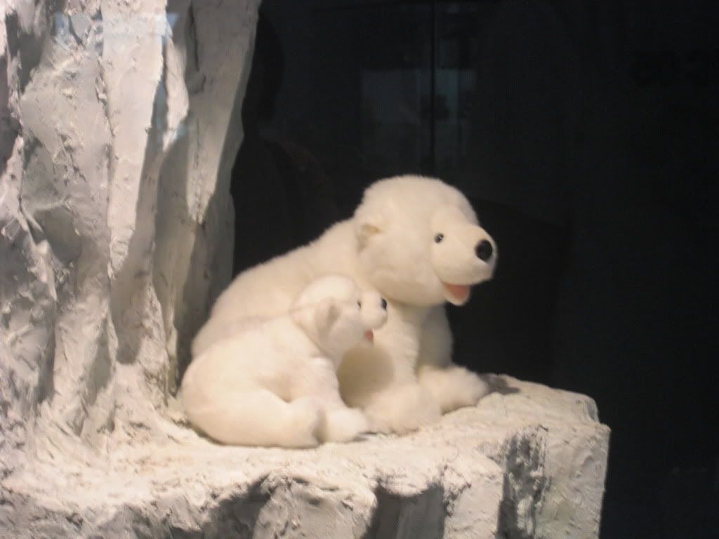 polarteddy-1