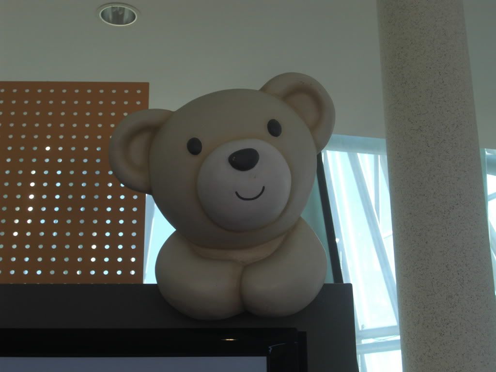 teddy-1