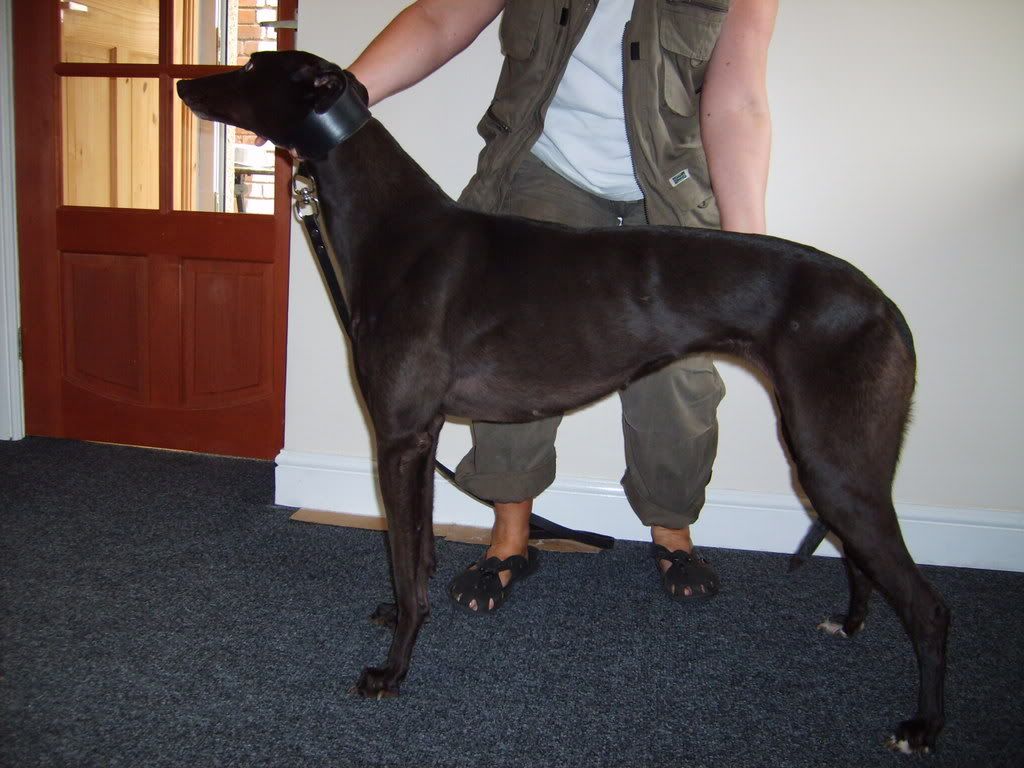Ourmaggie-1.jpg