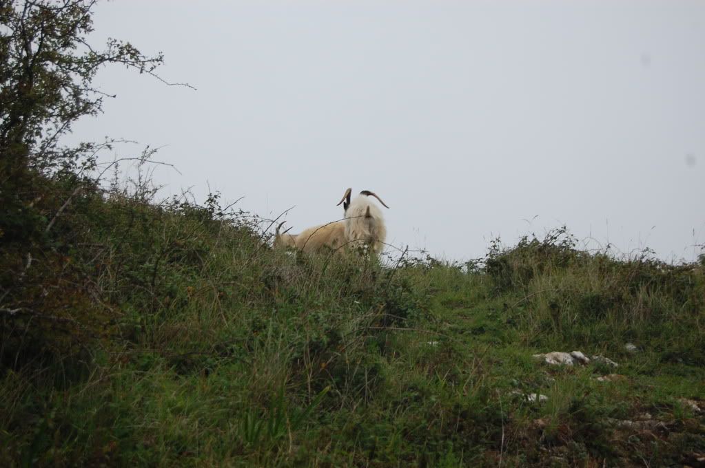 brean2010027.jpg