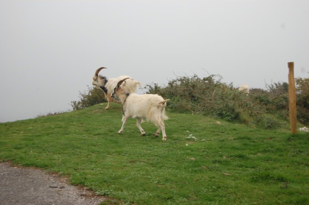 brean2010028.jpg