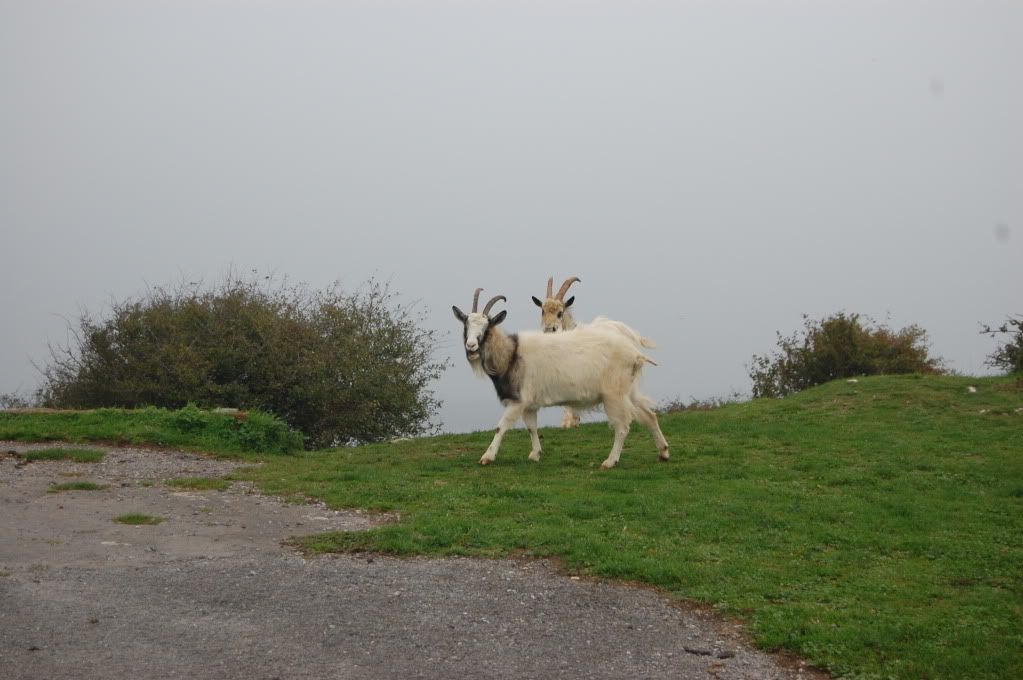 brean2010029.jpg