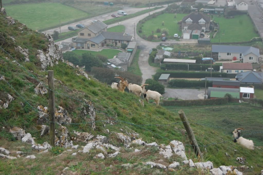 brean2010043.jpg