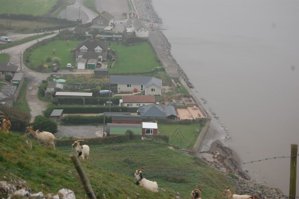 brean2010046.jpg