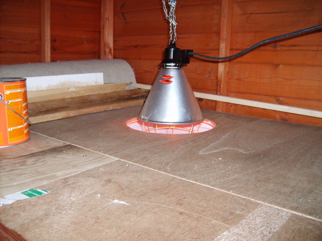 Heat Lamp For Kennel Lurchers & Running Dogs The Hunting Life