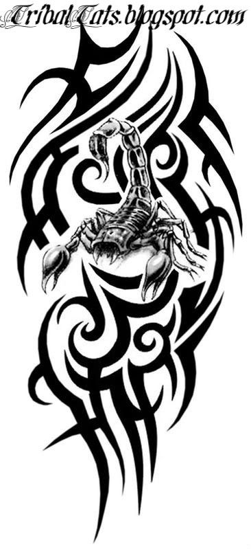 Scorpion in tribal arm tattoo design