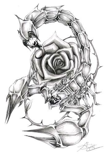 scorpion tattoo design. Scorpio Tattoos Design with
