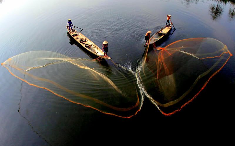 IMAGE: http://i467.photobucket.com/albums/rr35/nightflowervn/13318_img_5573-3_7643.jpg