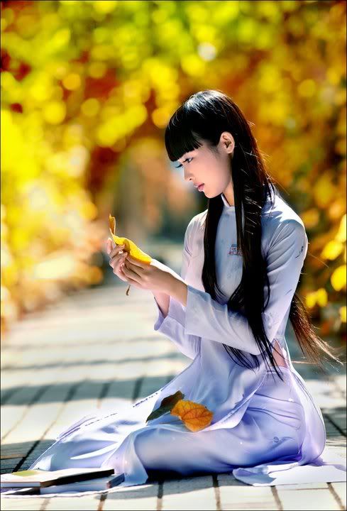 IMAGE: http://i467.photobucket.com/albums/rr35/nightflowervn/154200_177659625597042_127868227242849_552023_6955078_n.jpg