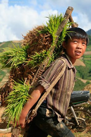 IMAGE: http://i467.photobucket.com/albums/rr35/nightflowervn/Banner2-11.jpg