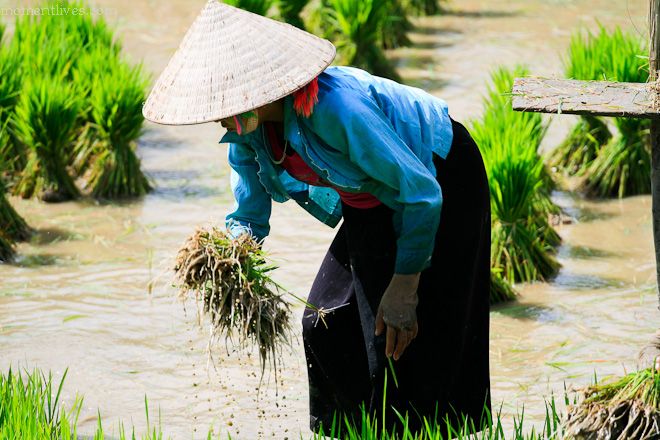 IMAGE: http://i467.photobucket.com/albums/rr35/nightflowervn/Banner2-13.jpg