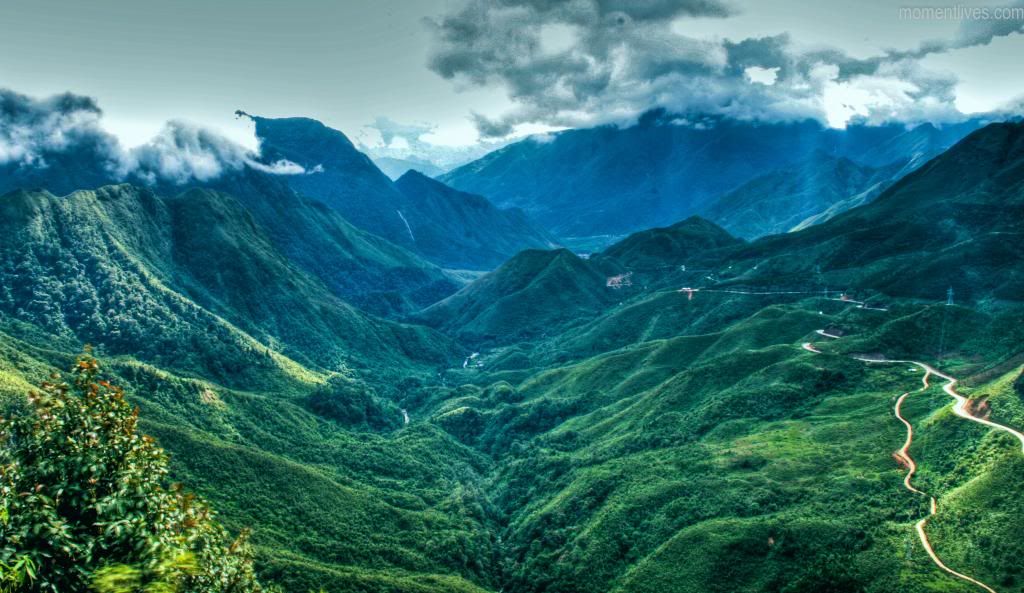 IMAGE: http://i467.photobucket.com/albums/rr35/nightflowervn/Blog%20Momentlives/Tea-20_zps83caaa35.jpg