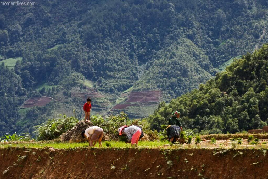 IMAGE: http://i467.photobucket.com/albums/rr35/nightflowervn/Blog%20Momentlives/Traffic-16_zps46cb3de8.jpg