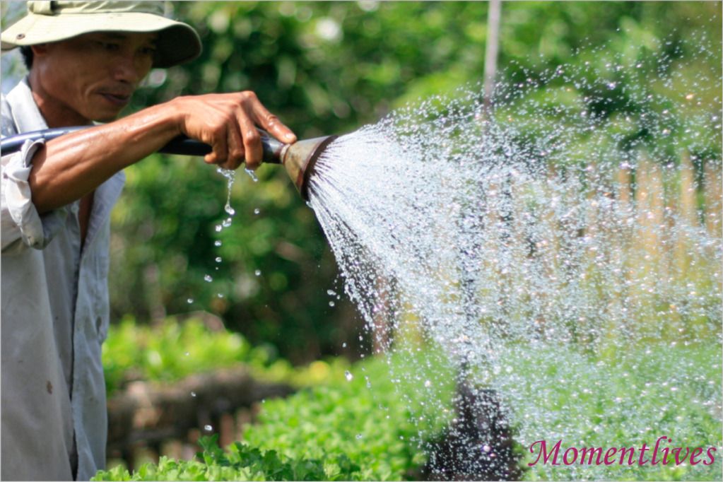 IMAGE: http://i467.photobucket.com/albums/rr35/nightflowervn/Cryingbaby-17.jpg