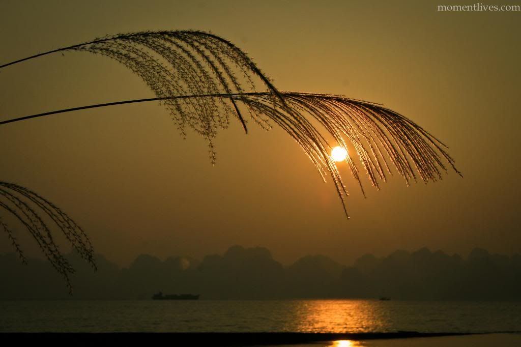 IMAGE: http://i467.photobucket.com/albums/rr35/nightflowervn/Halong%20bay/House-Full_zps341c5126.jpg