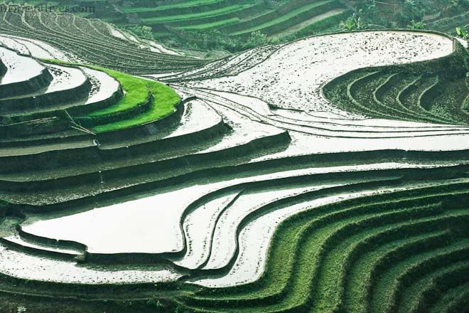 IMAGE: http://i467.photobucket.com/albums/rr35/nightflowervn/IMG_0444.jpg