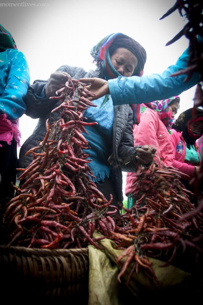 IMAGE: http://i467.photobucket.com/albums/rr35/nightflowervn/Market%20for%20blog/Traffic-4_zps80b0b7f8.jpg