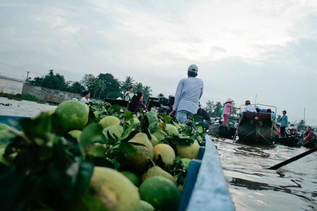 IMAGE: http://i467.photobucket.com/albums/rr35/nightflowervn/Mekong/goods-small_zps3a87a1b4.jpg