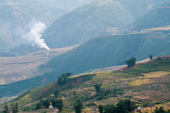 IMAGE: http://i467.photobucket.com/albums/rr35/nightflowervn/Terraced%20rice%20field/IMG_9613.jpg