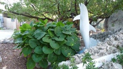 FLIPPER'S GRAVE - GRASSY KEY Image