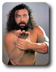 Bruiser Brody Image