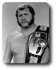 Harley Race Image