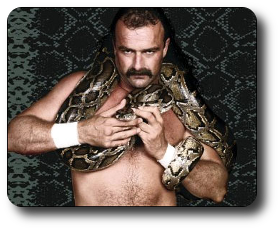 Jake Roberts Image