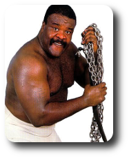 Junkyard Dog Image