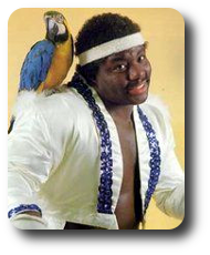 Koko B. Ware Image