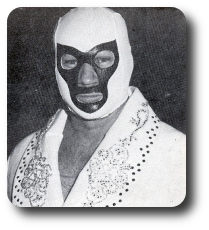 Mr. Wrestling II Image