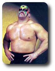 Road Warrior Animal Image