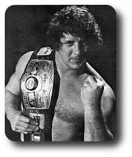 Terry Funk Image