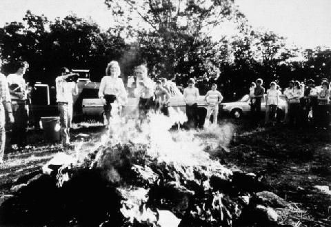 EVERY BURNED BOOK Image